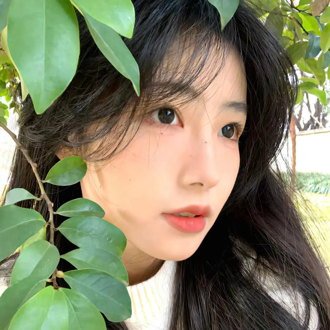 完美世界