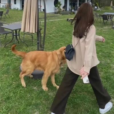 极限挑战第一季